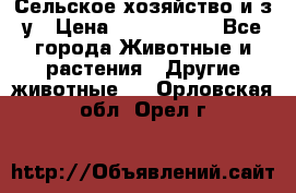 Сельское хозяйство и з/у › Цена ­ 2 500 000 - Все города Животные и растения » Другие животные   . Орловская обл.,Орел г.